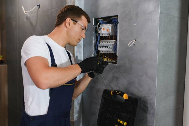 Best Ceiling Fan Installation Electrician  in Bellview, FL