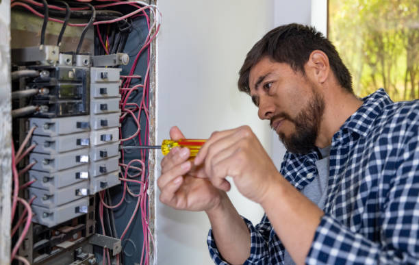 Best Electric Panel Repair  in Bellview, FL